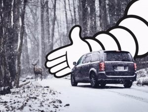 Покрышки Мишелин